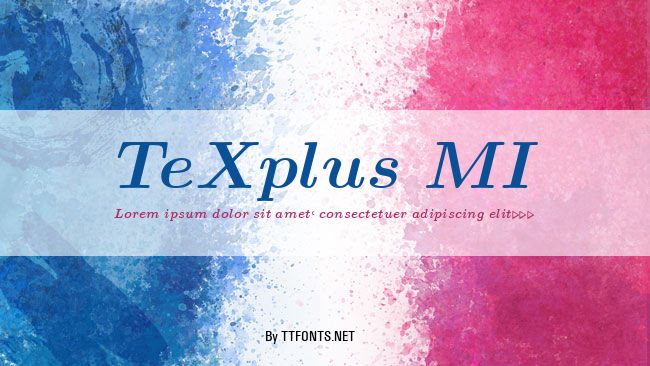 TeXplus MI example